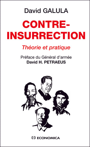 Contre-insurrection : Théorie et pratique