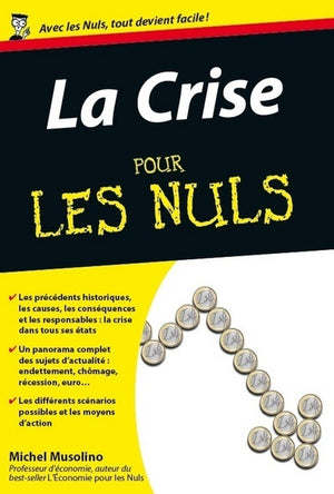 Crise poche pour les nuls