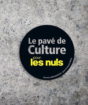 Le Pavé de culture générale Pour les Nuls