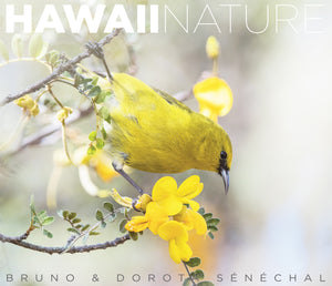 Hawaii nature