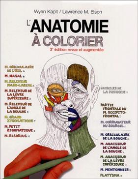 L'anatomie à colorier