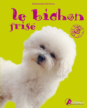 Le bichon frisé