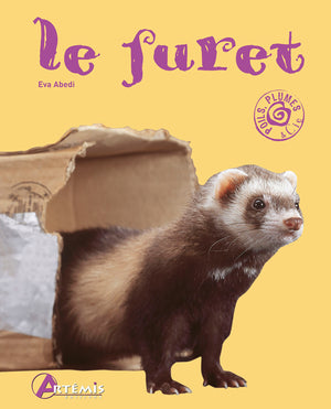 Le furet