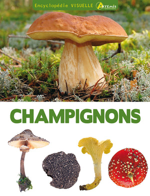 Champignons (0)