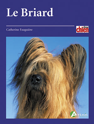 Briard