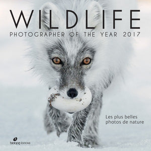 Wildlife, Photographer of The Year