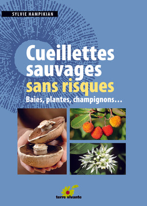 Cueillettes sauvages sans risques