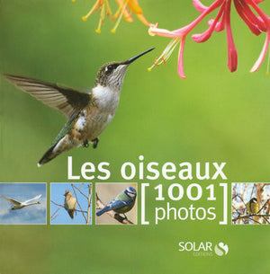 Oiseaux en 1001 photos