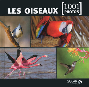 Les oiseaux en 1001 photos