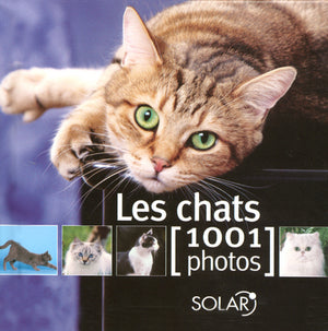 Chats en 1001 photos