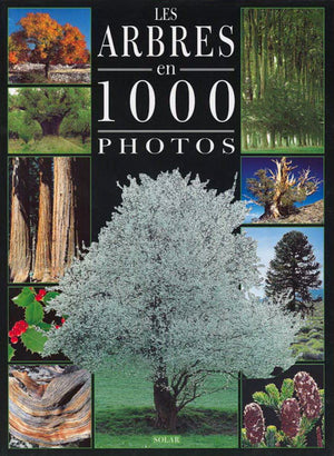 Arbres 1000 photos