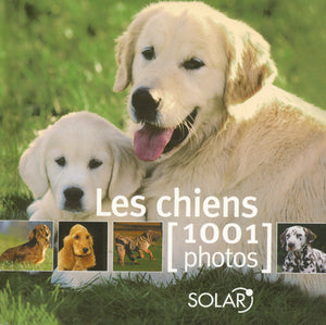 CHIENS EN 1001 PHOTOS