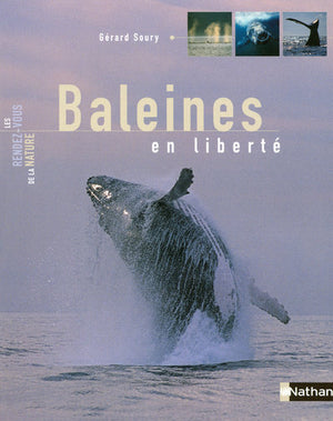 Baleines en liberté