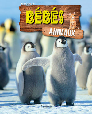 Bébés animaux