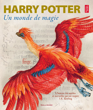 Harry Potter un monde de magie