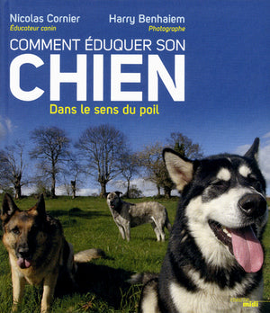 Comment éduquer son chien: Dans le sens du poil