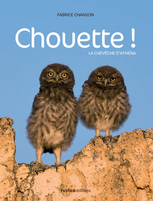 Chouette !: La chevêche d'Athéna