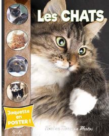 Les chats: Tout un monde en photos