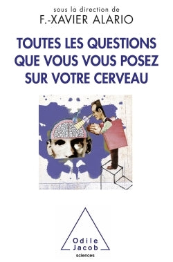 Toutes les questions que vous vous posez sur votre cerveau