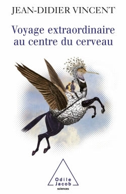 Voyage extraordinaire au centre du cerveau