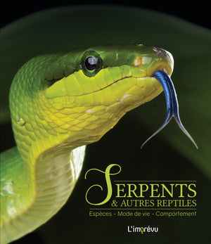 Serpents ou autres reptiles