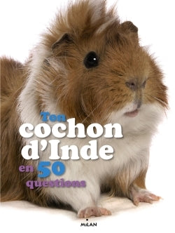 Ton cochon d'Inde en 50 questions