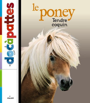 Le poney