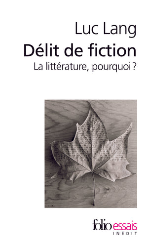 Délit de fiction: La littérature, pourquoi ?