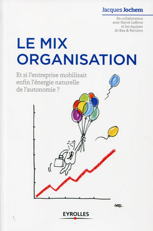 Le mix organisation