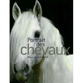 Portrait des chevaux