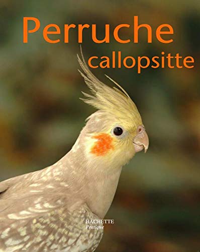 Perruche callopsitte