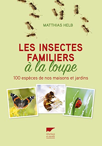 Les insectes familiers à la loupe: 100 espèces de nos maisons et jardins