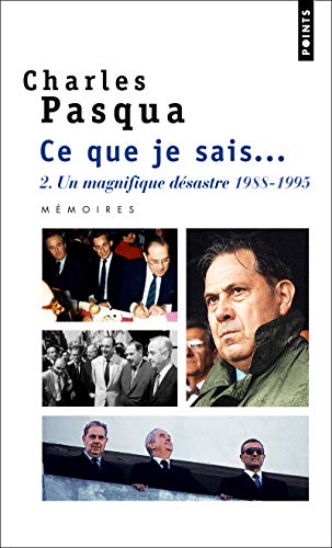 Un magnifique désastre 1988-1995: Mémoires