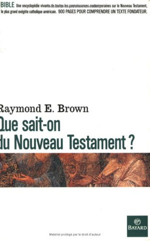 Que sait-on du Nouveau Testament ?