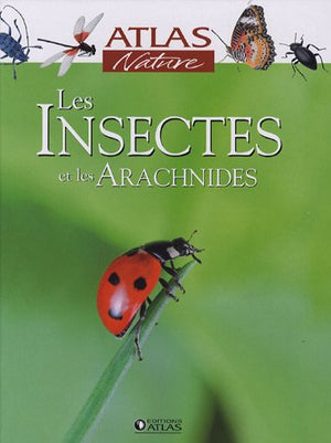 Les insectes et les arachnides