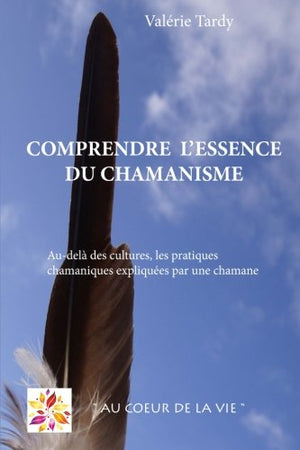 Comprendre l'essence du chamanisme