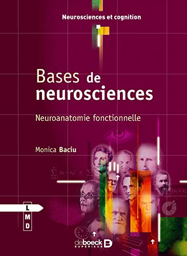 Bases de neurosciences: Neuroanatomie fonctionnelle