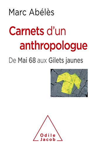 Carnets d'un anthropologue: De mai 68 aux gilets jaunes