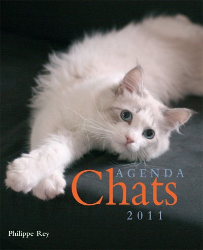 Agenda Chats 2011