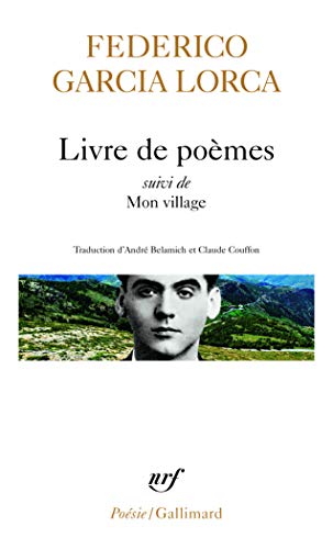 Livre de poèmes / Mon village / Impressions et paysages