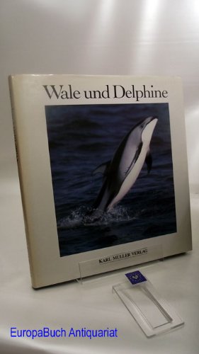 Wale und Delphine