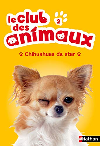 Chihuahuas de stars