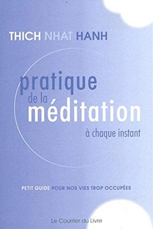 Pratique de la méditation à chaque instant