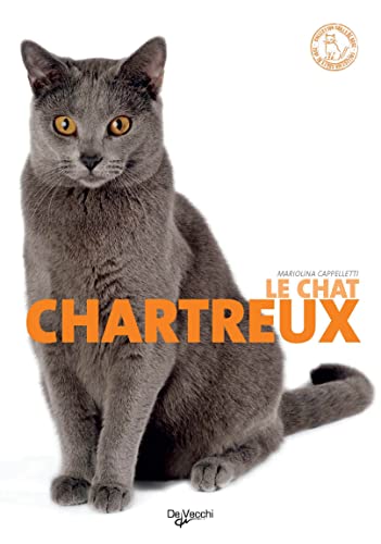 Le chat Chartreux