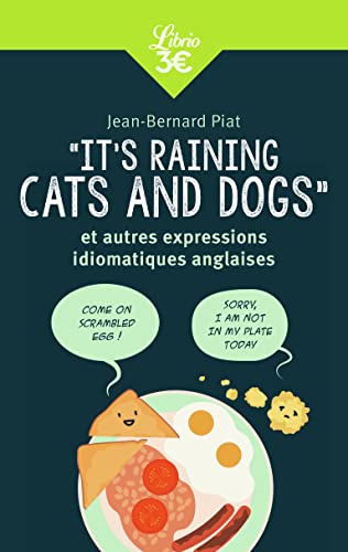«It's raining cats and dogs» et autres expressions idiomatiques anglaises