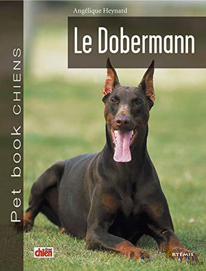 Doberman