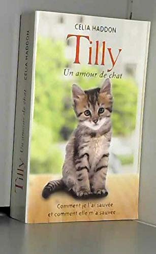 Tilly, un amour de chat