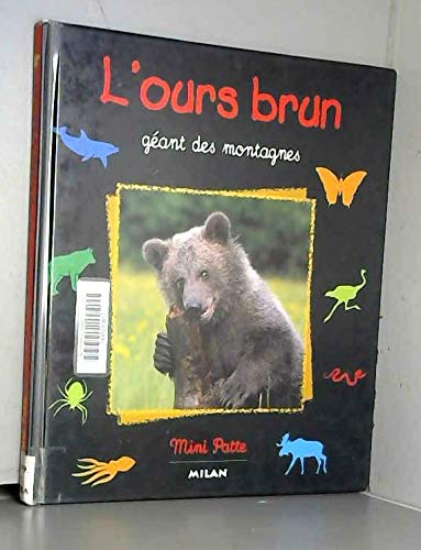 L'Ours brun : Géant des montagnes