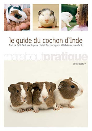 Le guide du cochon d'Inde