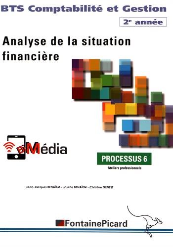 Analyse de la situation financière BTS Comptabilité et Gestion 2e année: Processus 6